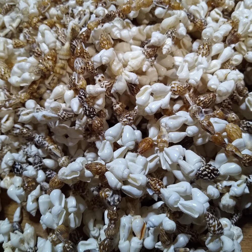 Lot Of Over 25 Shell Necklaces